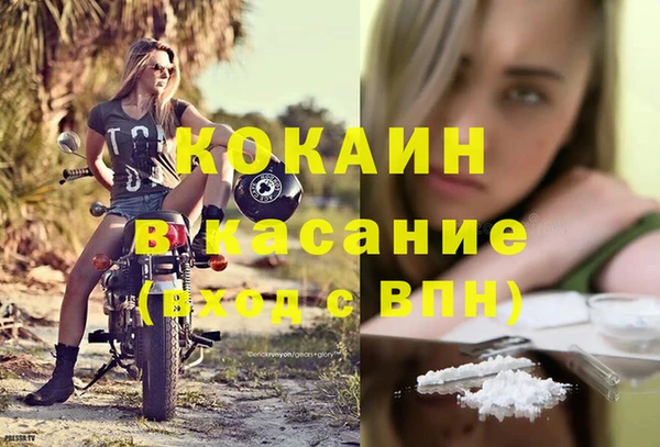 стаф Пересвет