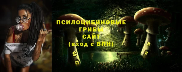 стаф Пересвет