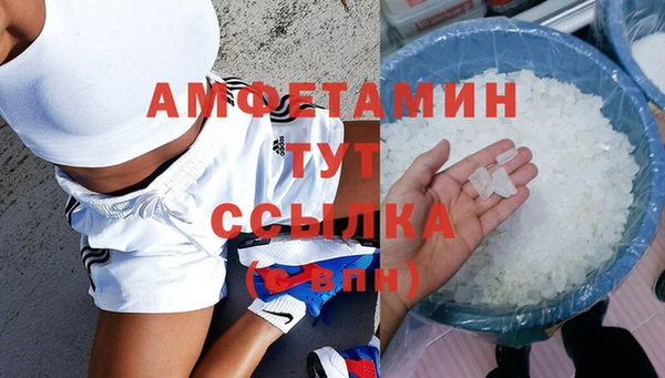 стаф Пересвет