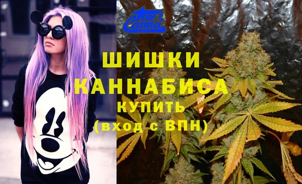стаф Переславль-Залесский