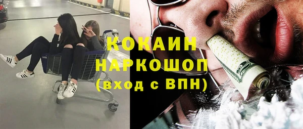 стаф Пересвет