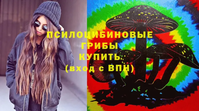 Галлюциногенные грибы Psilocybe  Гурьевск 