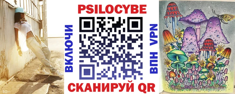 Галлюциногенные грибы Psilocybine cubensis  Гурьевск 