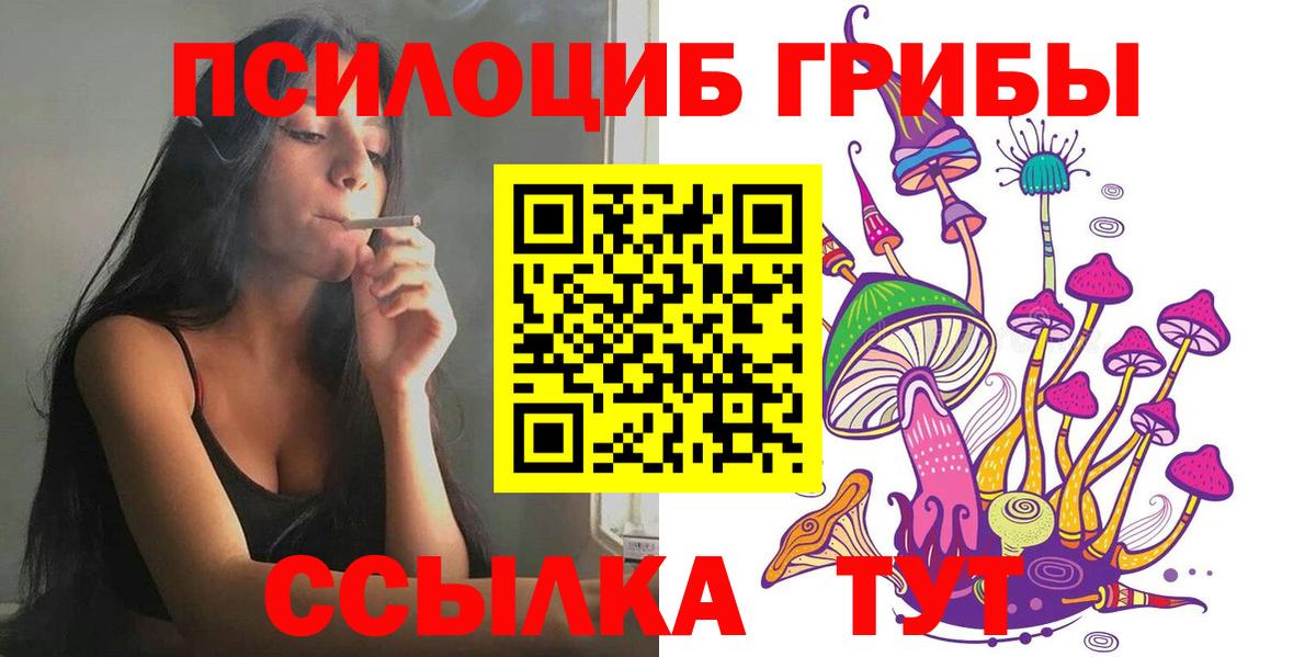 Гурьевск  Псилоцибиновые грибы Psilocybine cubensis  Вход с VPN  Псилоцибиновые грибы MAGIC MUSHROOMS 