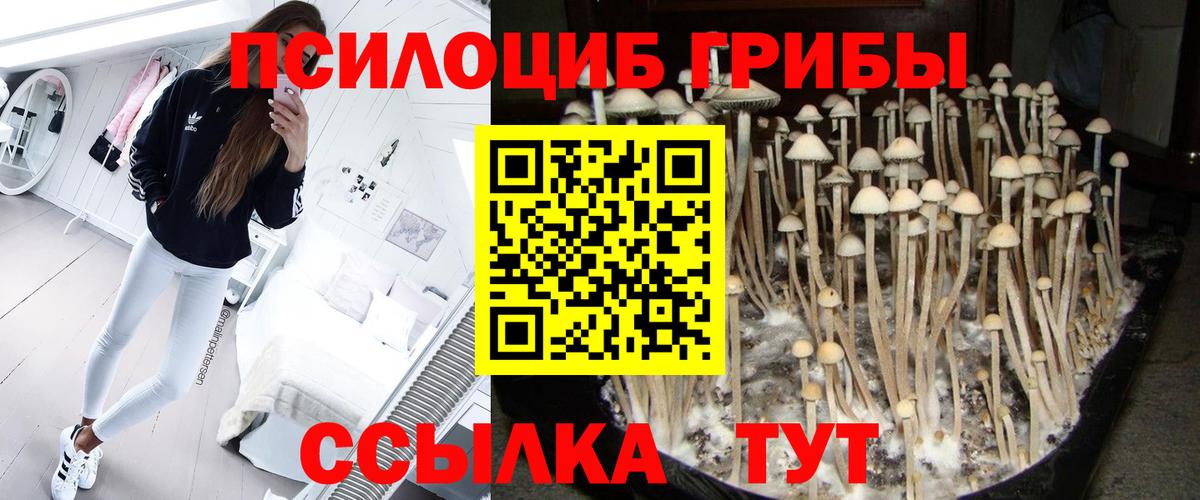 Псилоцибиновые грибы Psilocybine cubensis  Гурьевск  Галлюциногенные грибы ЛСД 