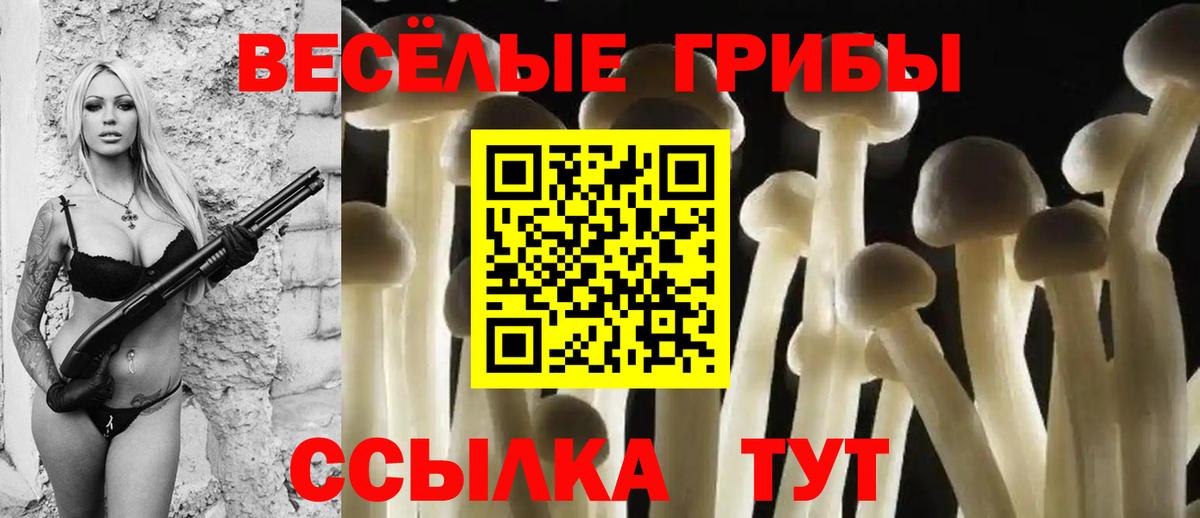 Галлюциногенные грибы Cubensis Гурьевск