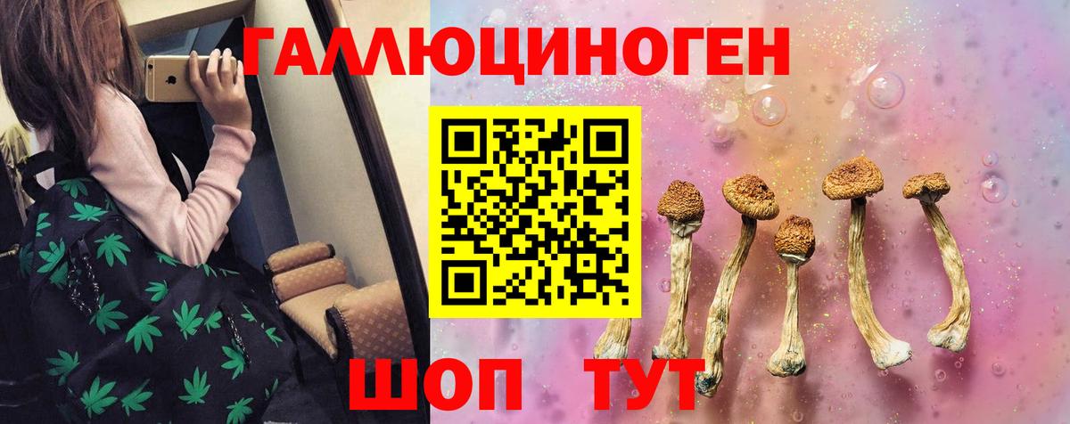 Галлюциногенные грибы ЛСД Гурьевск